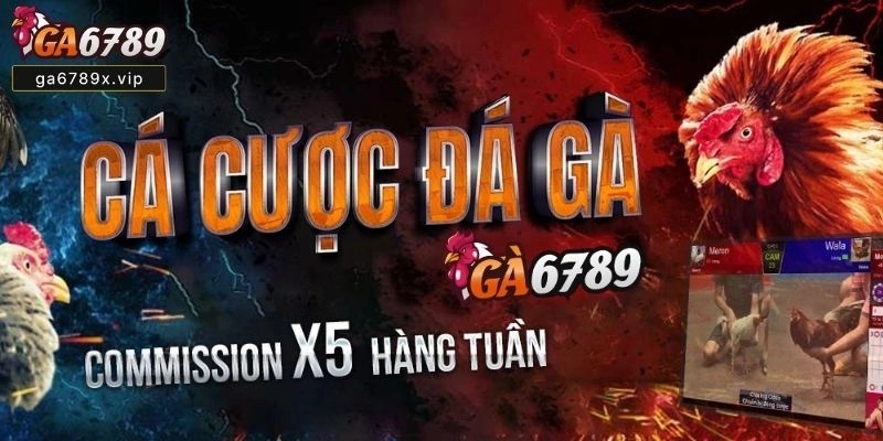So Sánh Nhà Cái Ga6789 Với Các Nhà Cái Khác Trên Thị Trường So Sánh Nhà Cái Ga6789 Với Các Nhà Cái Khác Trên Thị Trường